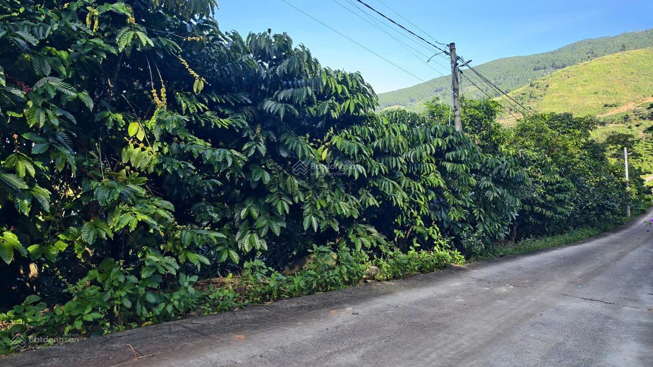 Bán đất tại Nam Ban Lam Hà 1395 m2 sẵn 200m2 thổ cư , giá F0 siêu LỜI