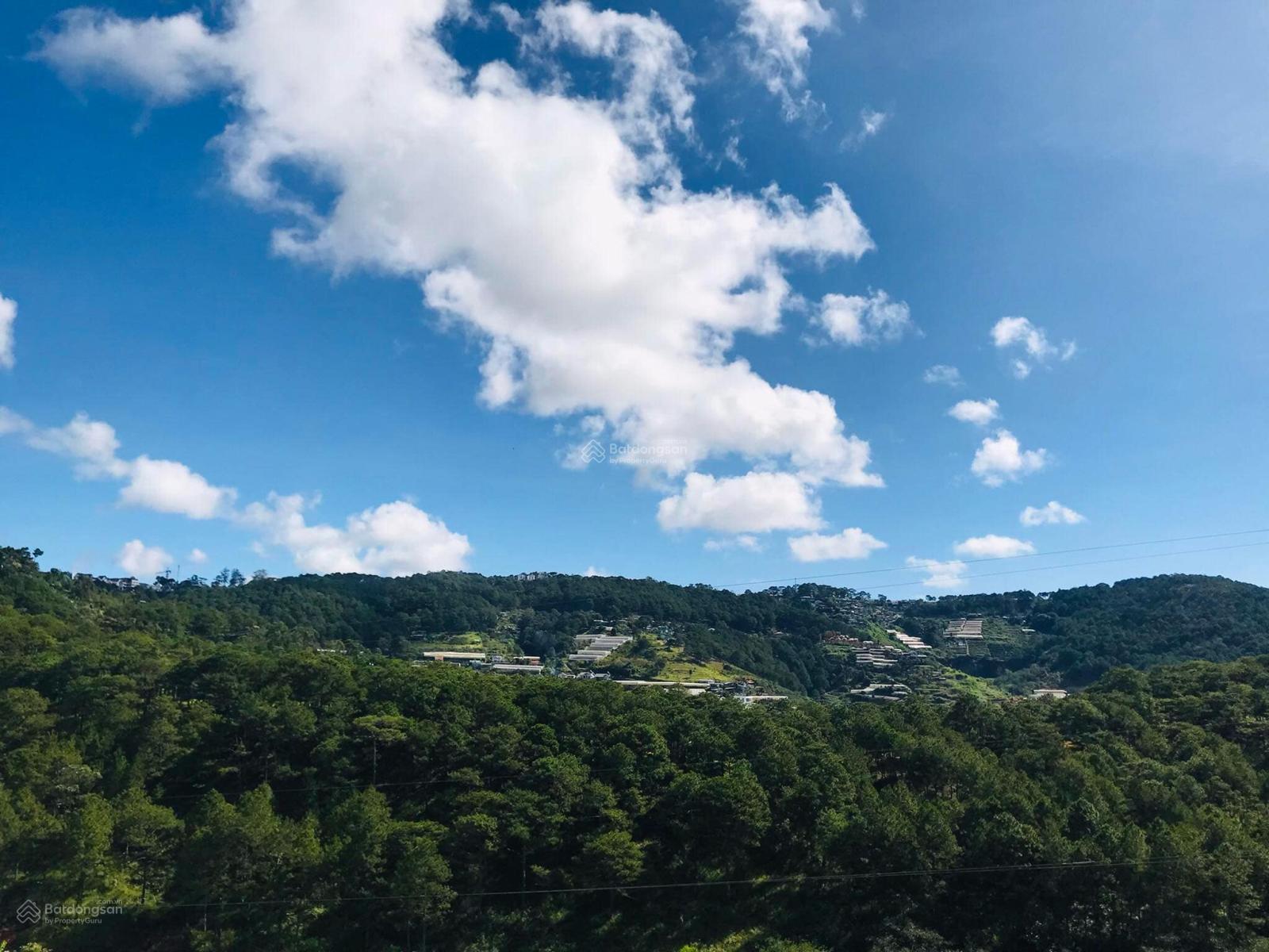 Homestay view thung lũng rừng thông vĩnh viễn, 10 phòng kinh doanh nở hậu