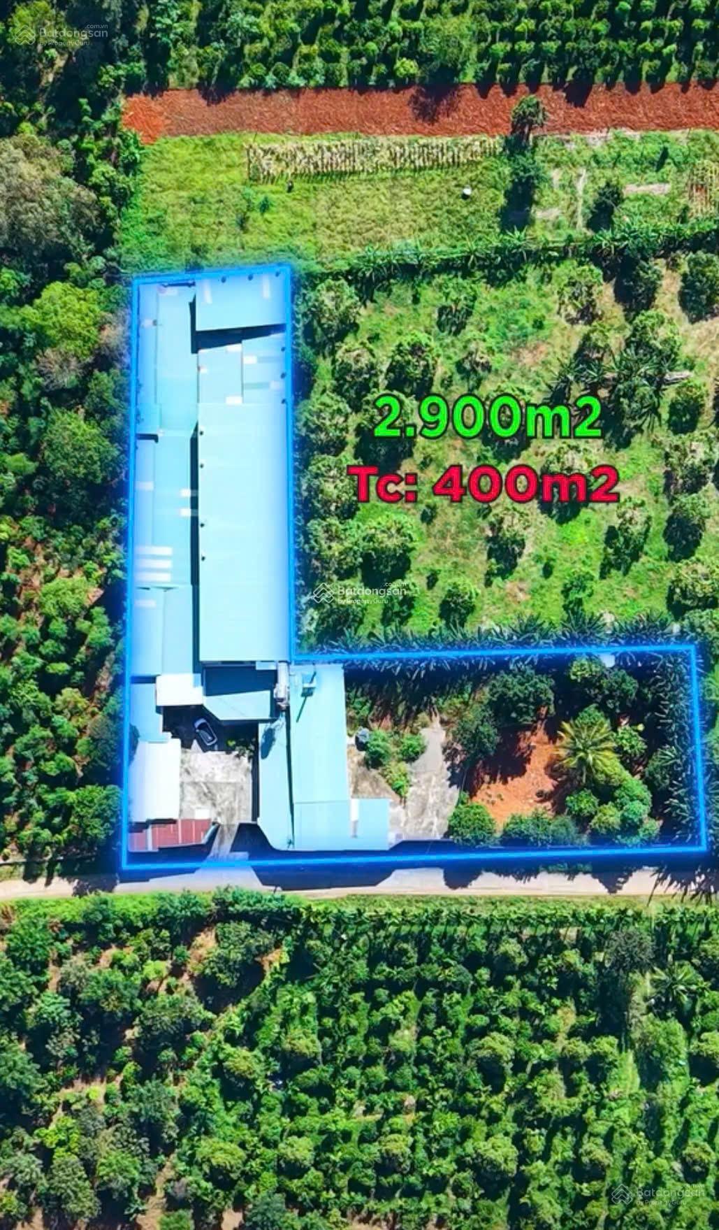 Bán kho 2900m2 Eanuoi Buôn Đôn cách TL1 1km đường xe 4 chân, phù hợp sx thực phẩm Bán kho 2900m2 Eanuoi Buôn Đôn cách TL1 1km đường xe 4 chân, phù hợp sx thực phẩm
