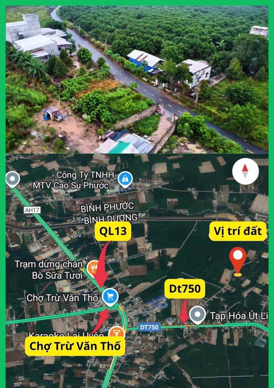 Bán nhanh hơn 2000m2 vườn bưởi đang thu hoạch tại Trừ Văn Thố TPHCM