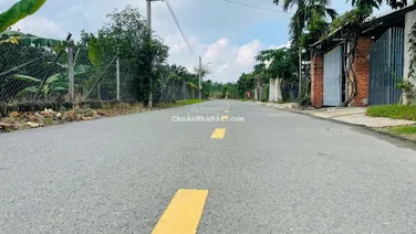 Bán nhanh hơn 2000m2 vườn bưởi đang thu hoạch tại Trừ Văn Thố TPHCM