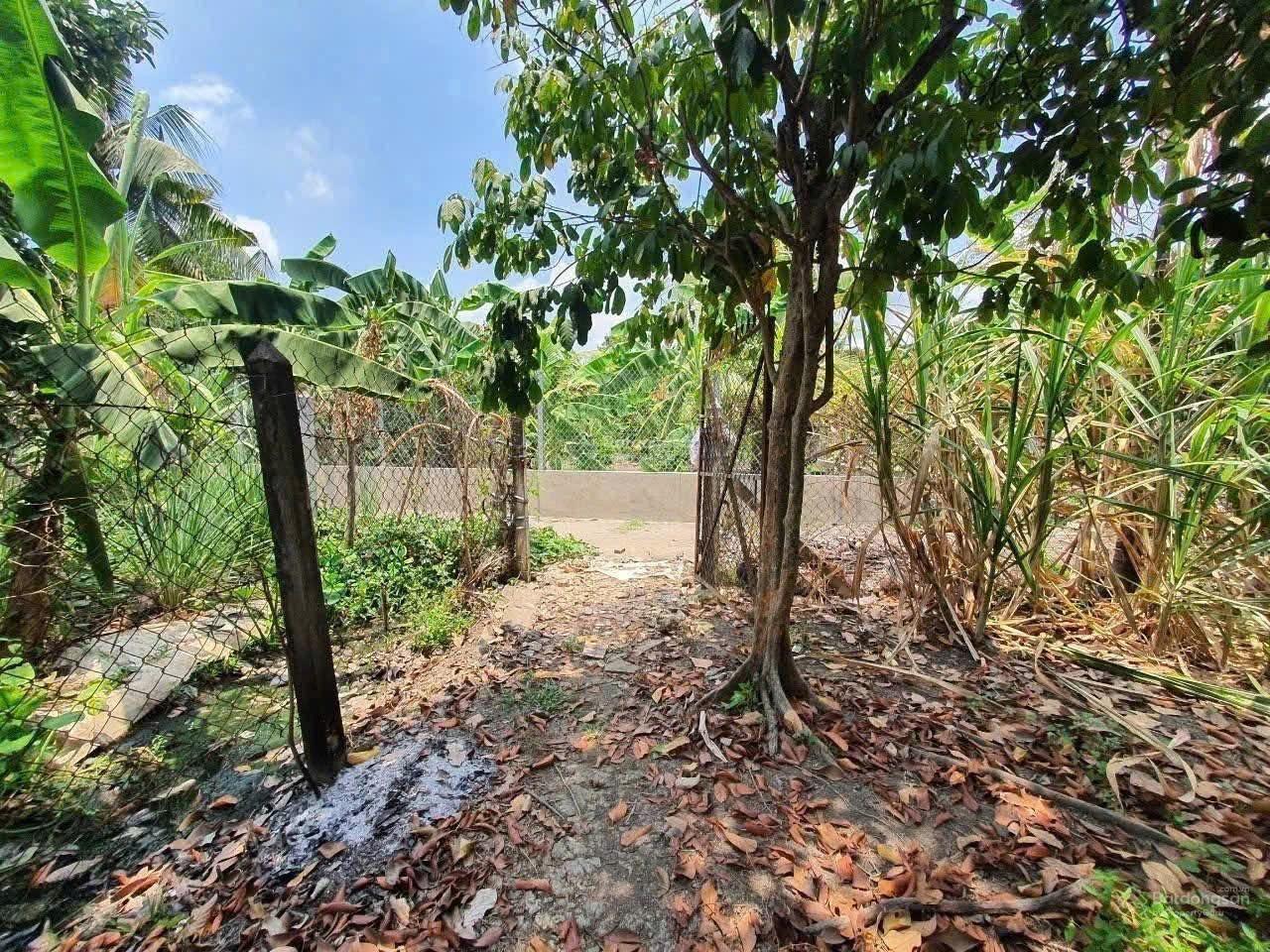 Bán đất tại gần An Sơn 17, 5,5 triệu/m2, 5602m2, hàng hiếm tại Bình Dương đường 2,5m Bán đất tại gần An Sơn 17, 5,5 triệu/m2, 5602m2, hàng hiếm tại Bình Dương đường 2,5m