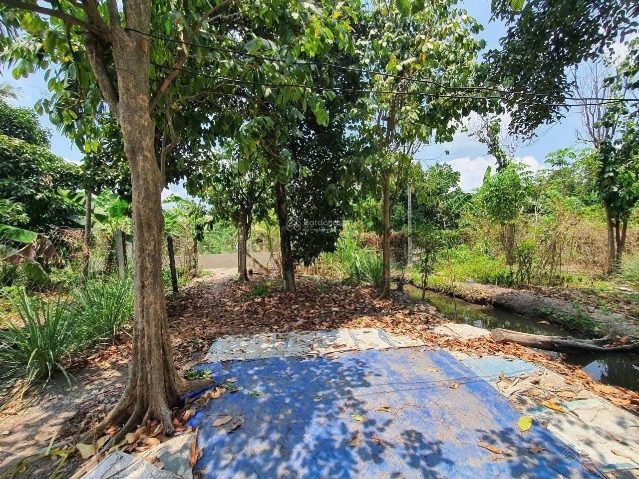 Bán đất tại gần An Sơn 17, 5,5 triệu/m2, 5602m2, hàng hiếm tại Bình Dương đường 2,5m Bán đất tại gần An Sơn 17, 5,5 triệu/m2, 5602m2, hàng hiếm tại Bình Dương đường 2,5m