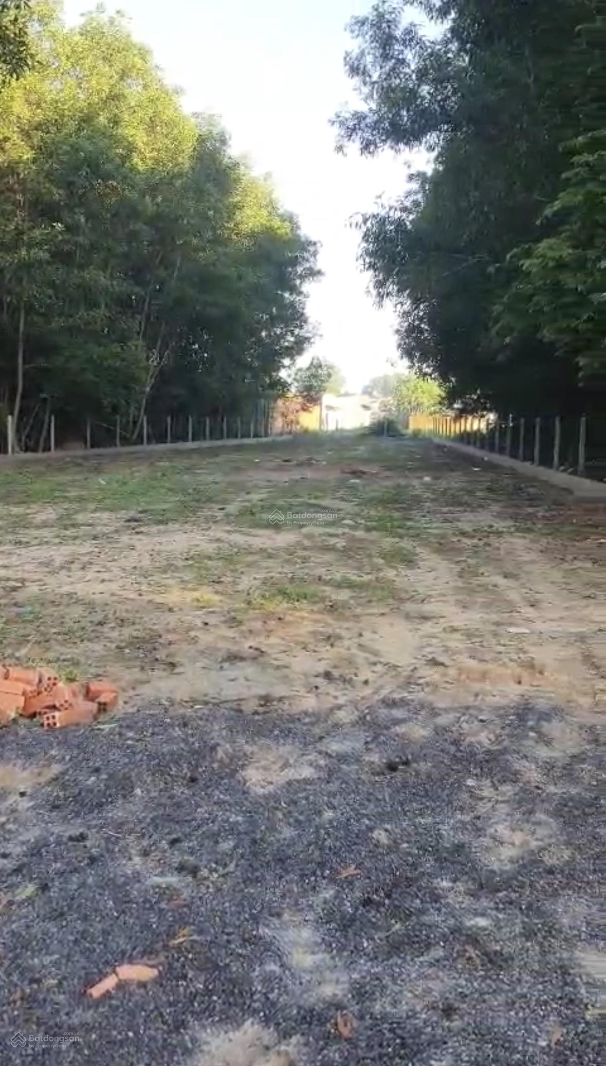 Bán 988m2 đất vườn 1/ Hùng Vương Xã Phước An, có 240m thổ cư Bán 988m2 đất vườn 1/ Hùng Vương Xã Phước An, có 240m thổ cư