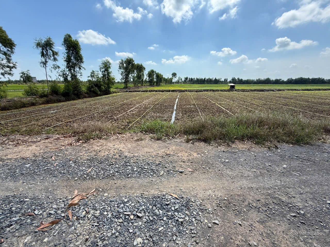 Bán nhanh lô đất 209m2 full thổ cư 100% giá siêu rẻ 560tr như hình liên hệ 0937 714 ***