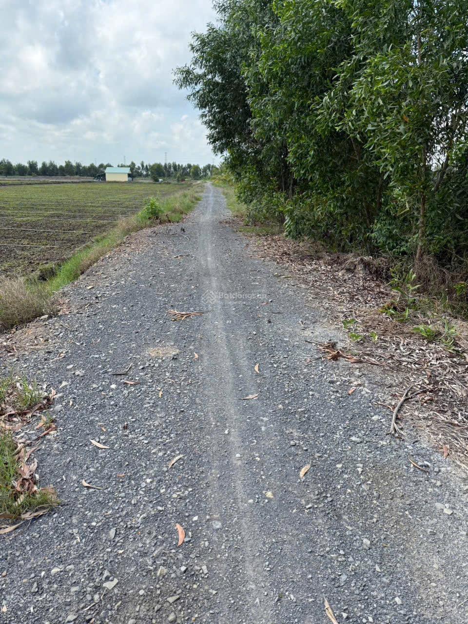 Bán nhanh lô đất 209m2 full thổ cư 100% giá siêu rẻ 560tr như hình liên hệ 0937 714 ***