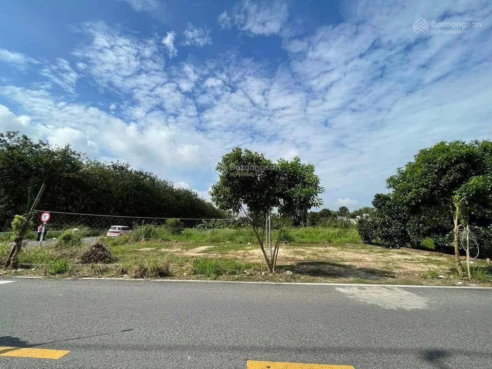 Bán đất tại Đường Bùi Thị Điệt, Xã Nhuận Đức, Củ Chi, HCM, 11,1x15 167m2 (80m2 thổ cư) hot!