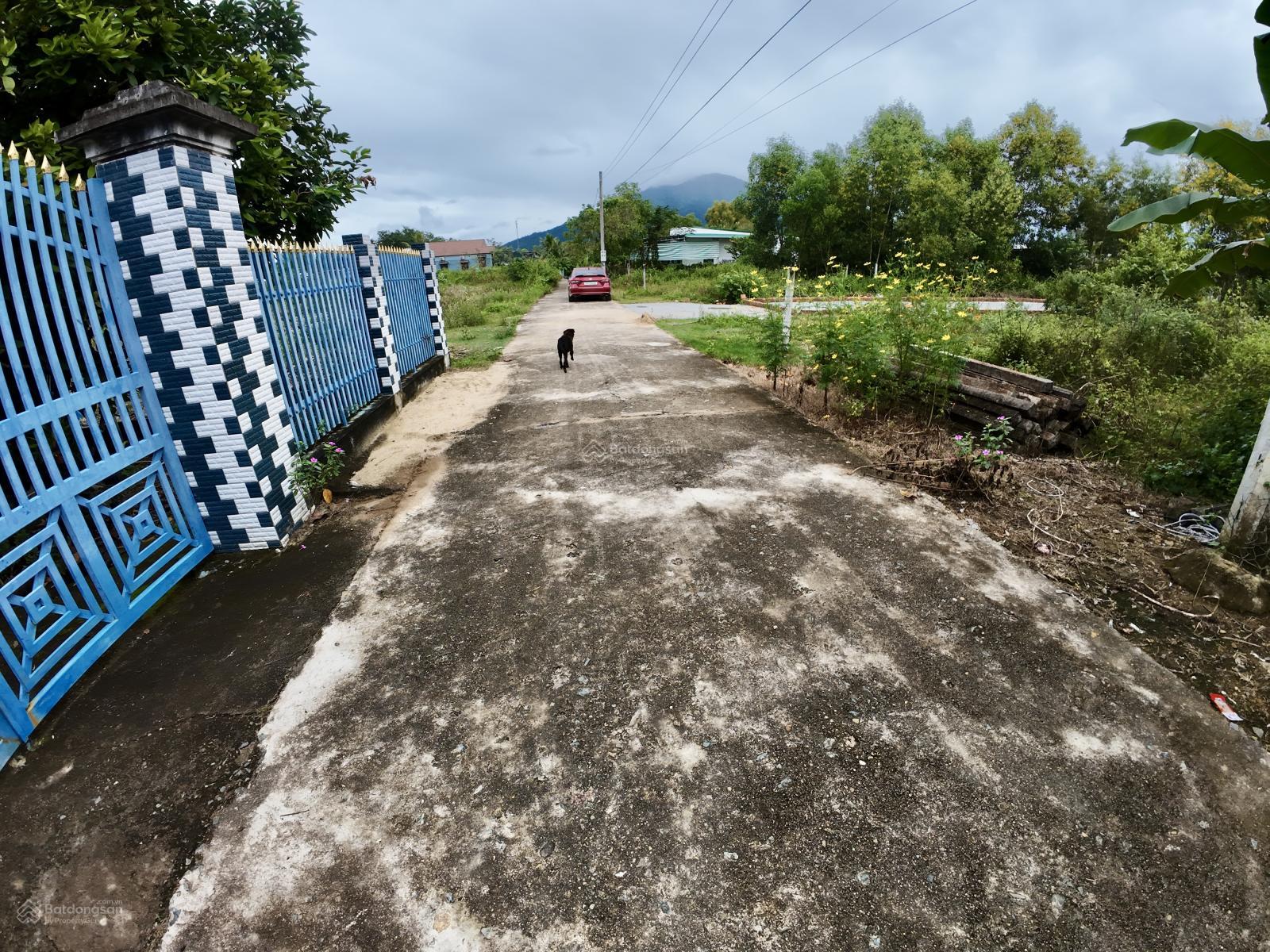 Cắt lỗ 100 tr Diên Lâm (Thôn 1 - Diên Đồng cũ) cao ráo ko ngập lụt bao giờ