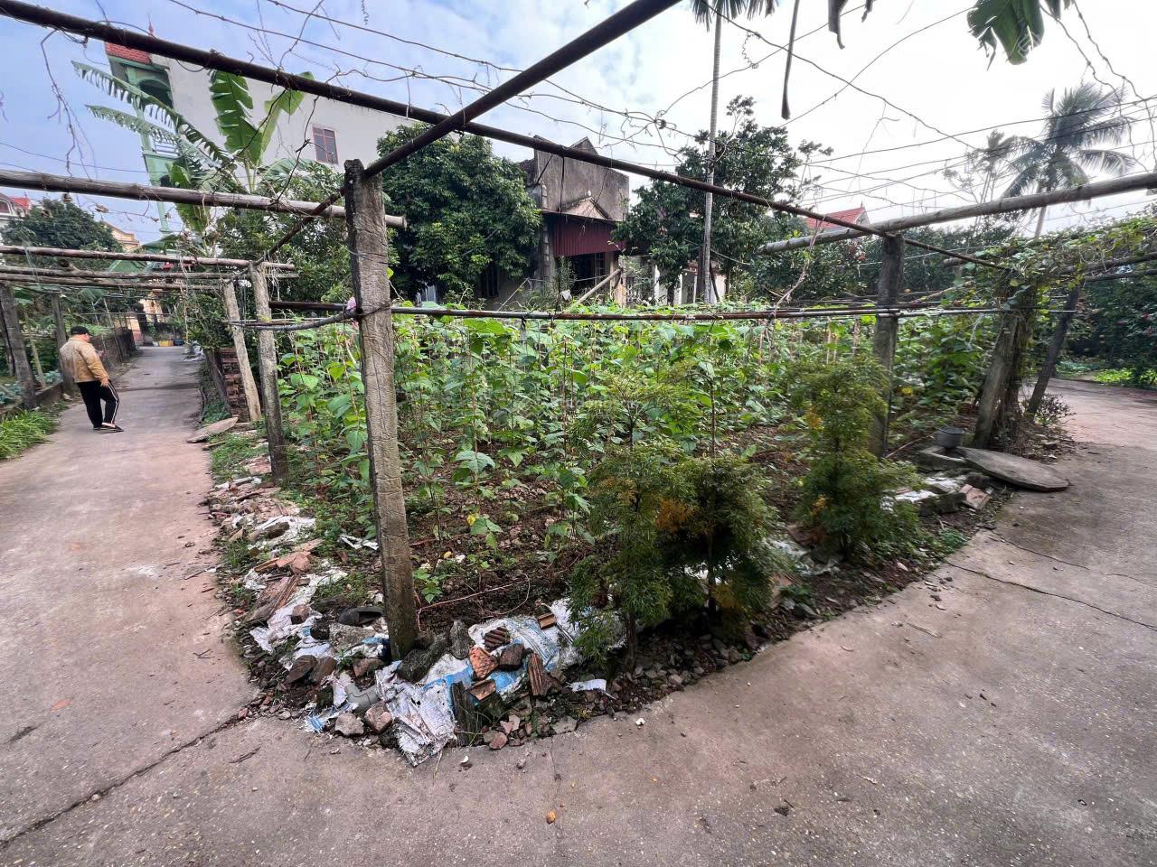 Siêu phẩm 2 mặt tiền - 3 mặt thoáng trung tâm xã Tự Nhiên chính thức lộ diện Siêu phẩm 2 mặt tiền - 3 mặt thoáng trung tâm xã Tự Nhiên chính thức lộ diện