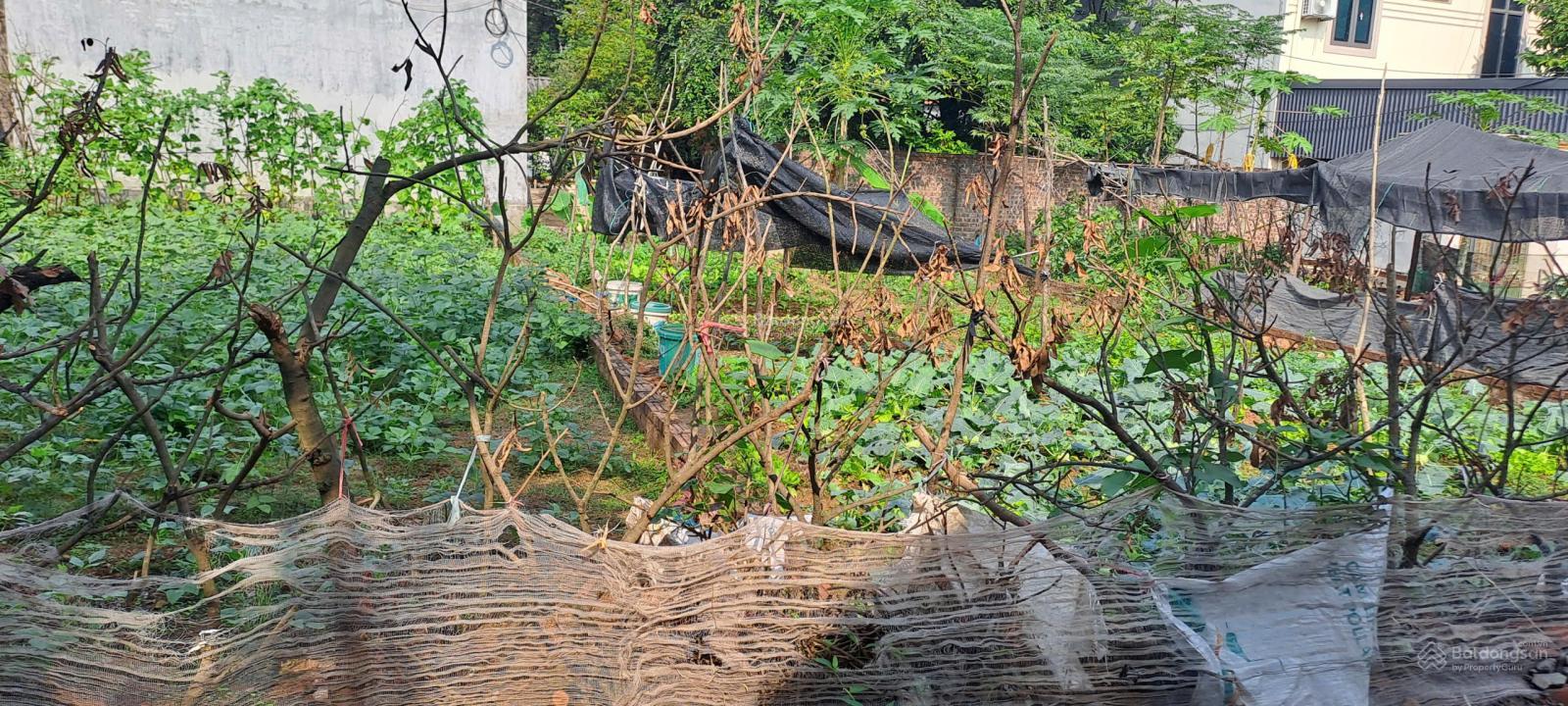 Bán gấp đất tại Trạch Mỹ Lộc, Phúc Thọ, Hà Nội, 2,6 tỷ, 94 m2