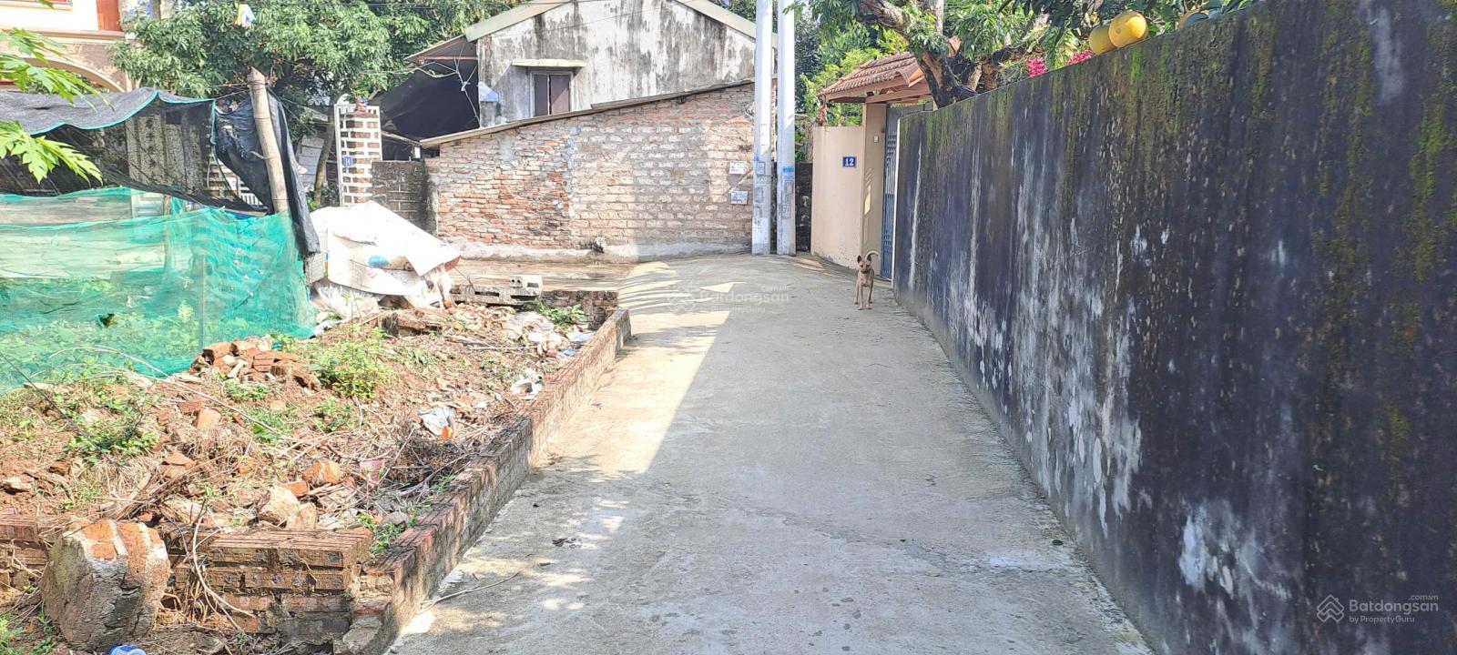 Bán gấp đất tại Trạch Mỹ Lộc, Phúc Thọ, Hà Nội, 2,6 tỷ, 94 m2