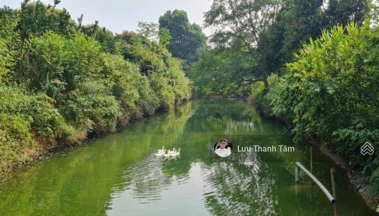 Bán đất Lương Sơn DT 4972 m2 phù hợp mọi tiêu chí sử dụng: Nghỉ dưỡng, phân lô, kho xưởng Bán đất Lương Sơn DT 4972 m2 phù hợp mọi tiêu chí sử dụng: Nghỉ dưỡng, phân lô, kho xưởng