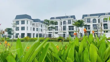 Bán biệt thự BT*06 HUD Mê Linh 375m2, hướng Đông Bắc, view công viên, gần Sun Group & Vành đai 4