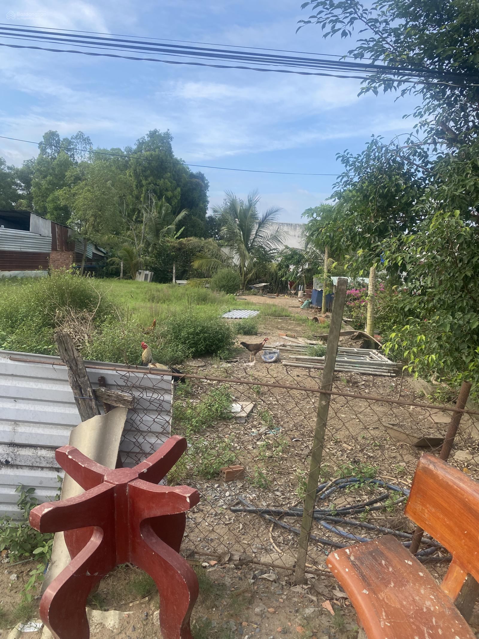 Bán đất tặng đất 10x29 mt ấp 3-4 giáp Ecopark Thanh Phú, Bến Lức