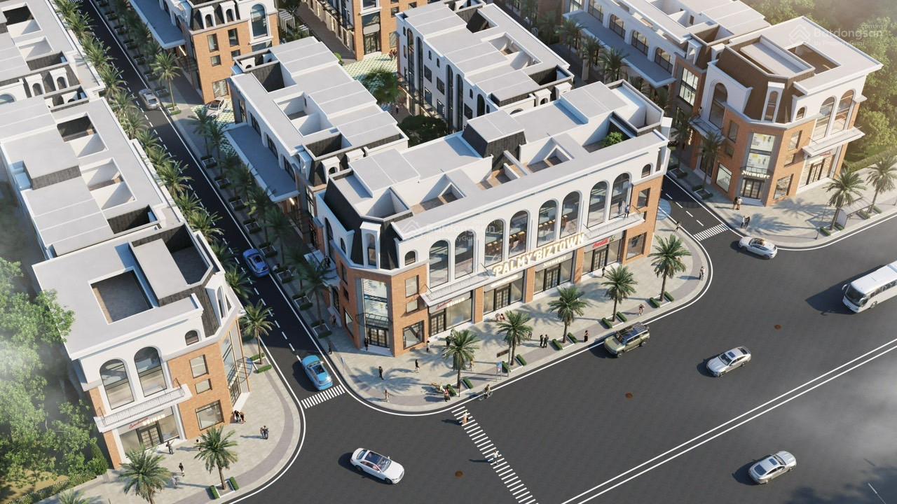 Tôi chính chủ bán lô TM7 - 01 lô góc, dự án Palmy Biztown HĐB Thanh Trì