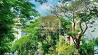 Bán đất đường Sử Hy Nhan villa Thủ Thiêm