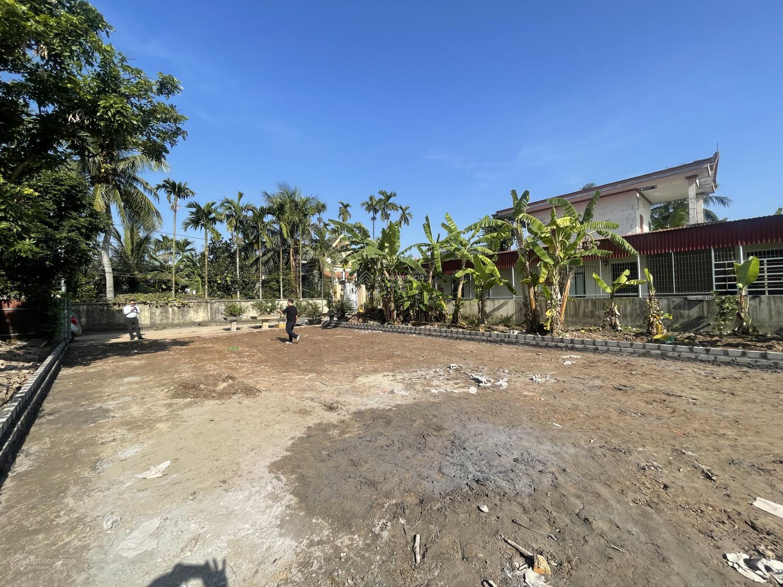 370m2 đất đẹp gần sát khu công nghiệp Tràng Duệ 3 đường thông các ngả Tiềm năng tăng trưởng mạnh 370m2 đất đẹp gần sát khu công nghiệp Tràng Duệ 3 đường thông các ngả Tiềm năng tăng trưởng mạnh