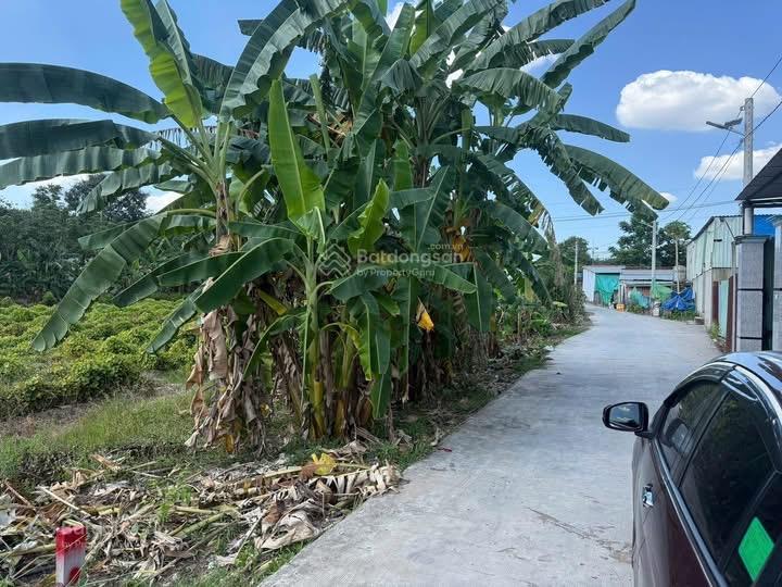 Chính chủ bán lô đất mặt tiền đường DH604, Chánh Phú Hoà, Bến Cát, DT 152m2 có sẵn Thổ cư, SHR