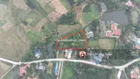 Cắt lỗ! 4.85 tỷ, đất 2 mặt tiền, 2.540m² 400m² thổ cư bám đường 40m sát suối + có ao cá sẵn