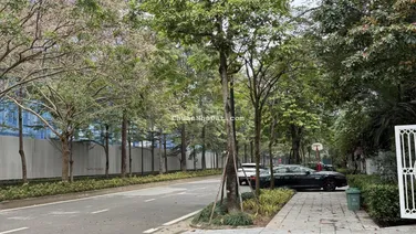 Bán biệt thự Ciputra - Mặt đường đôi đối diện Noble - 180m2 x 5T, 1 hầm - Full nội thất đẹp - 95 tỷ