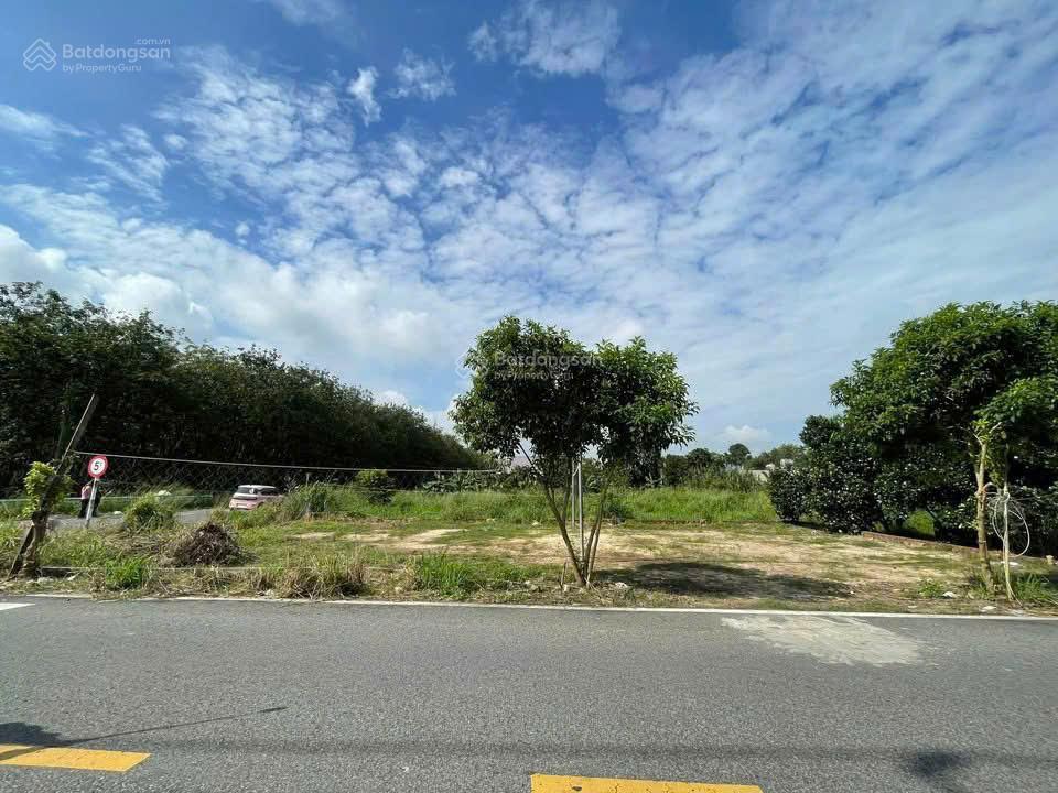 Chính chủ gửi bán đất Bùi Thị Điệt, 1,38 tỷ, ngang 6m bao đẹp 92,5m2, Củ Chi, HCM đẹp