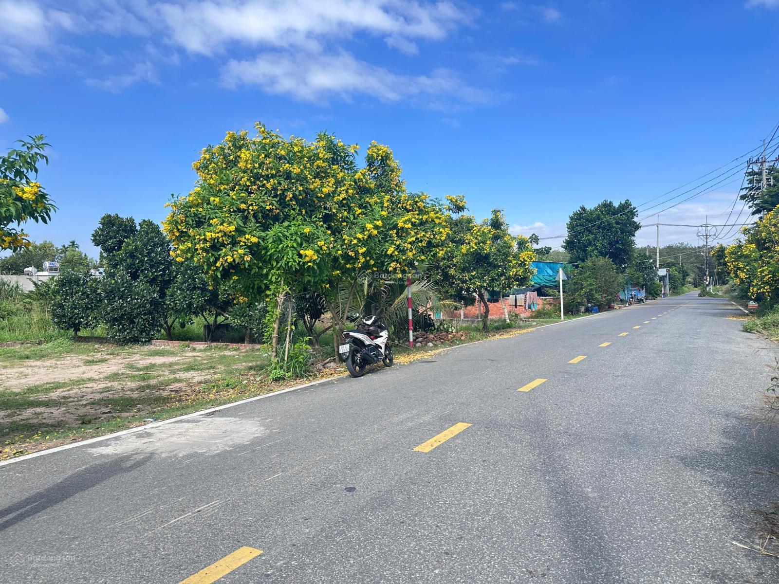 Chính chủ gửi bán đất Bùi Thị Điệt, 1,38 tỷ, ngang 6m bao đẹp 92,5m2, Củ Chi, HCM đẹp