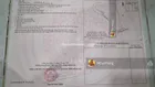 Vườn sầu riêng 5 năm tuổi sông nhạn 1,3ha đang thu hoạch giá ngộp 6,5ty trọn sổ view suối nước chảy
