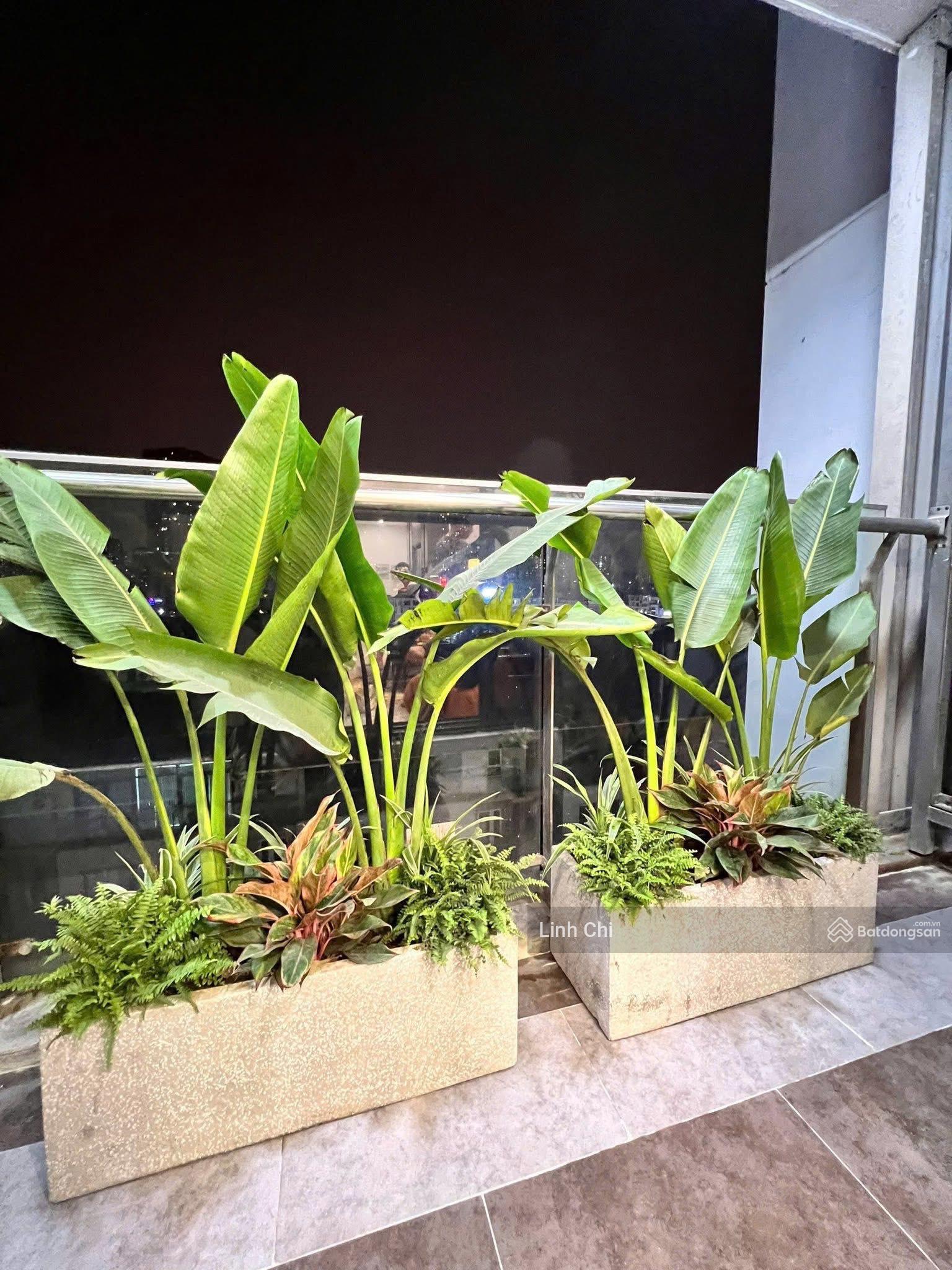 Chính chủ bán căn Golden Palace 54 Lê Văn Lương (C3) 148m2. Tầng trung, giá tốt nhất dự án Chính chủ bán căn Golden Palace 54 Lê Văn Lương (C3) 148m2. Tầng trung, giá tốt nhất dự án