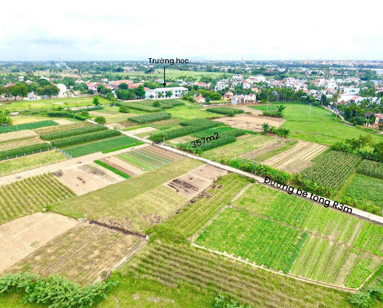 Lô đất vườn giá khá rẻ bê tông ô tô đên đất 358m2 gần Hội An