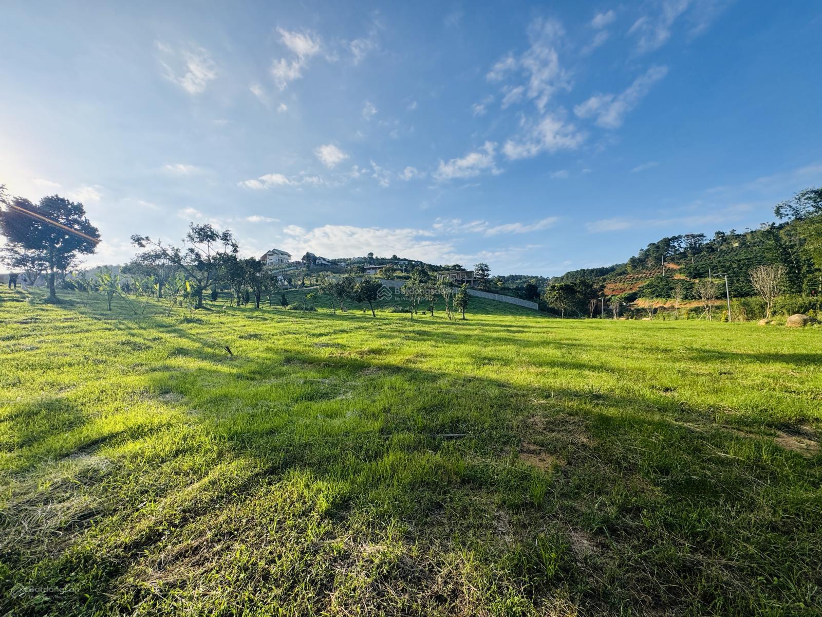 Siêu đẹp! Đất bám suối đá tự nhiên sát cạnh Đà Lạt chỉ hơn 2 tr/ m2. LH 0906 770 *** tv