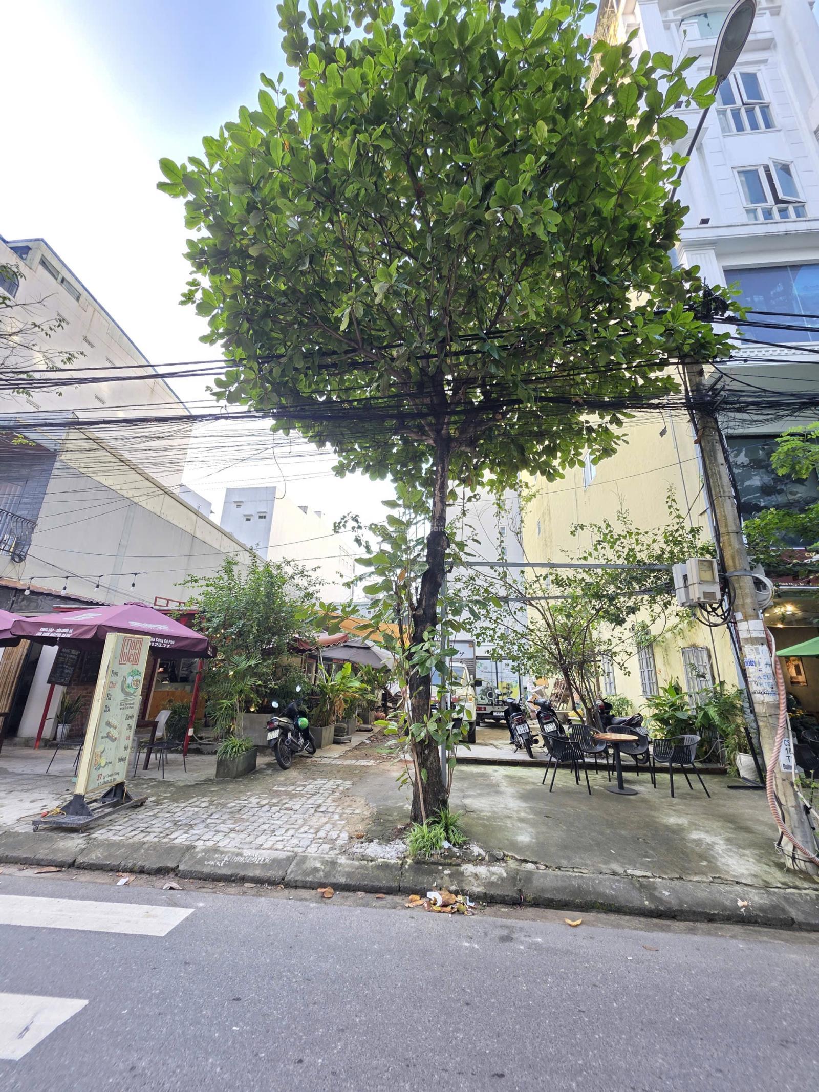 Giá đầu từ - hấp dẫn - thiện chí bán cặp đất mặt tiền Lý Thánh Tông - cách biển 700m Giá đầu từ - hấp dẫn - thiện chí bán cặp đất mặt tiền Lý Thánh Tông - cách biển 700m