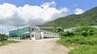 Cần bán 1ha xưởng Tỉnh Lộ 3 full pháp lý GPXD, PCCC, không ngập, có sẵn dòng tiền cho thuê giá rẻ