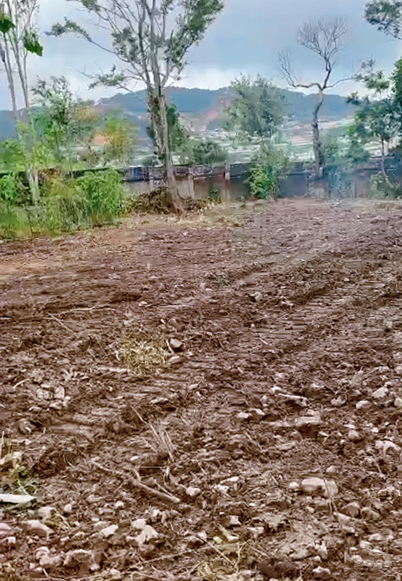 Bán quỹ đất xanh nghỉ dưỡng, P5, Đà Lạt, Lâm Đồng, 55 tỷ