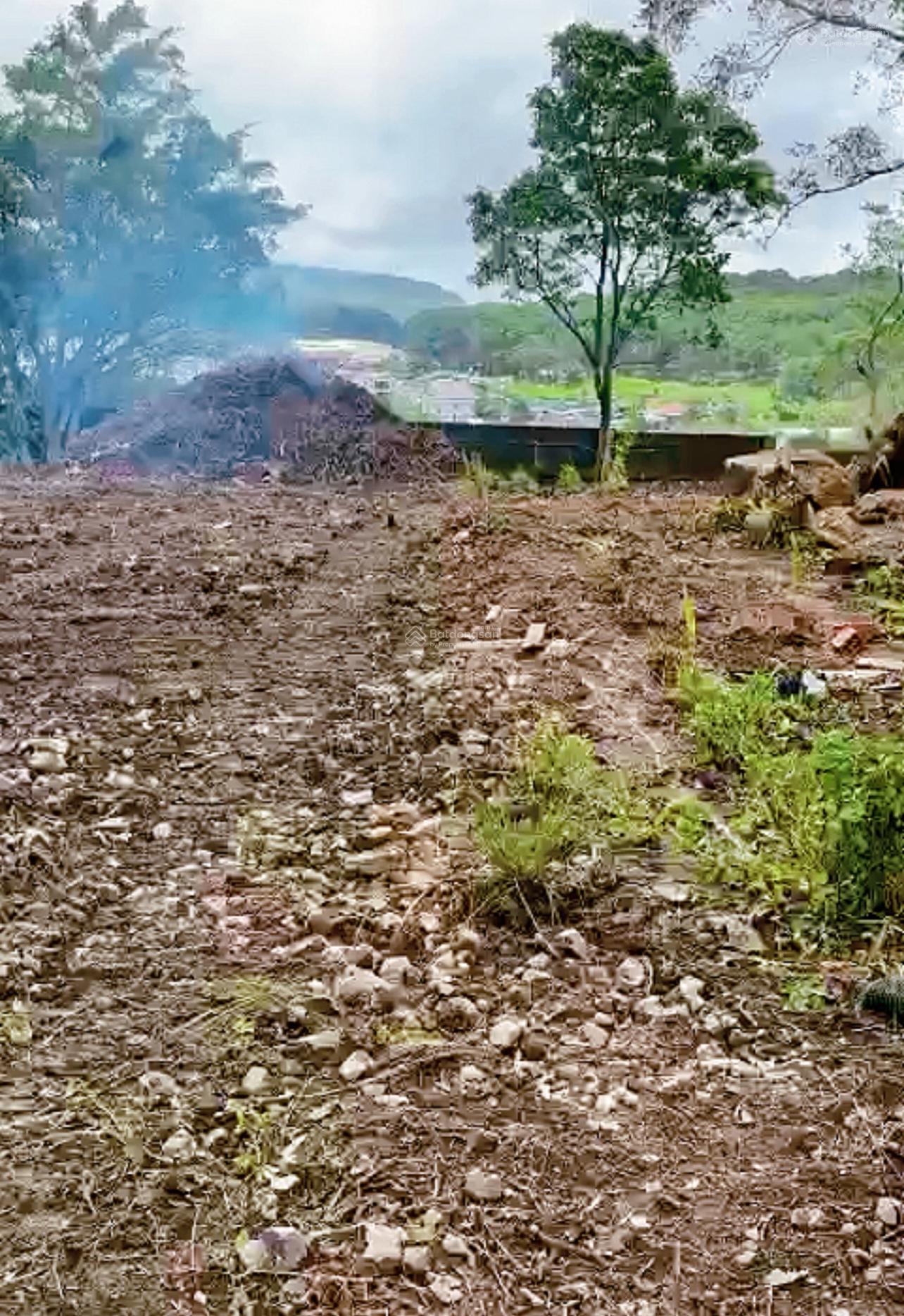 Bán quỹ đất xanh nghỉ dưỡng, P5, Đà Lạt, Lâm Đồng, 55 tỷ Bán quỹ đất xanh nghỉ dưỡng, P5, Đà Lạt, Lâm Đồng, 55 tỷ