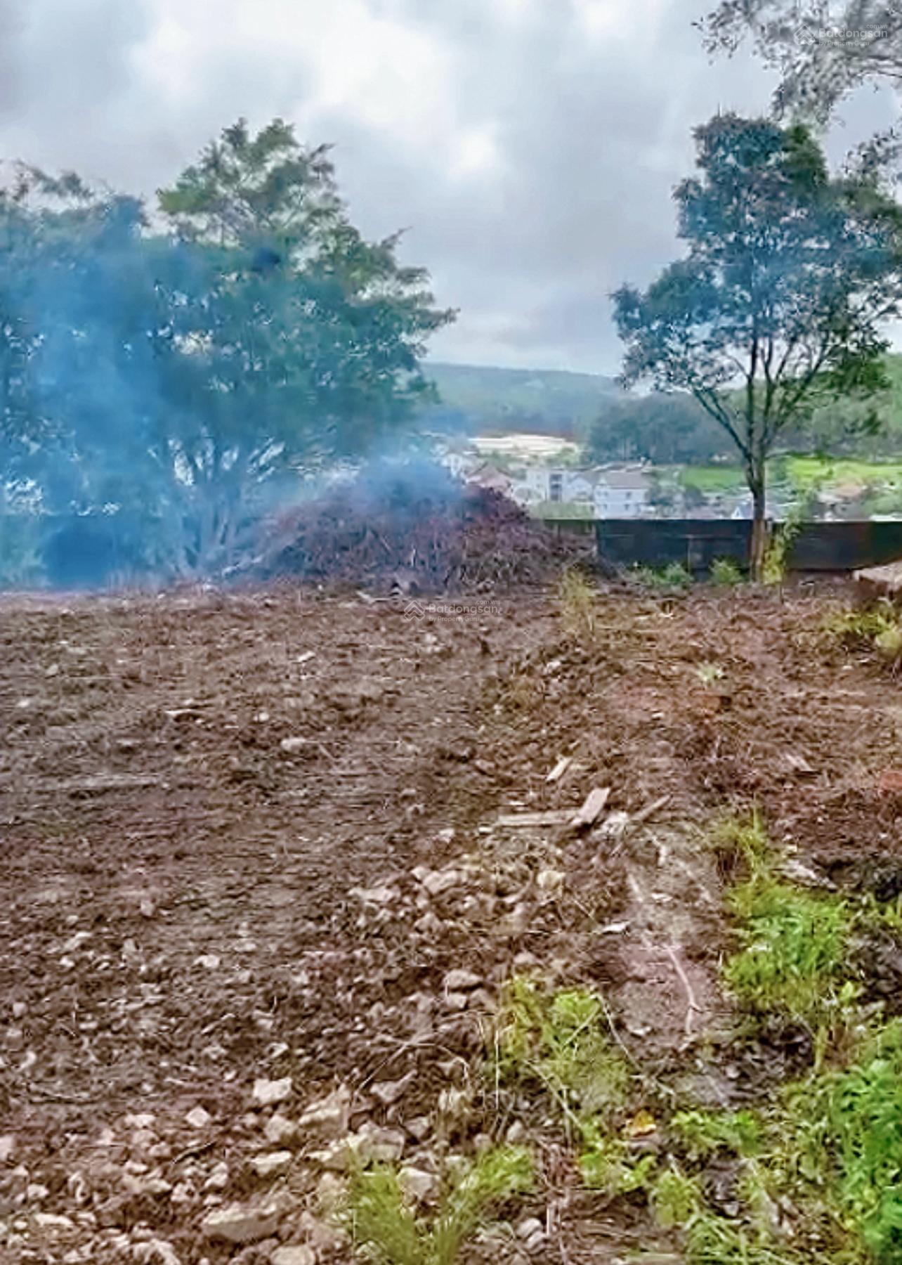 Bán quỹ đất xanh nghỉ dưỡng, P5, Đà Lạt, Lâm Đồng, 55 tỷ Bán quỹ đất xanh nghỉ dưỡng, P5, Đà Lạt, Lâm Đồng, 55 tỷ