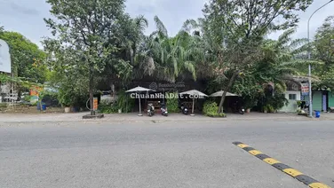 Bán đất 18x20m, đường số 11 KDC Thanh Bình, P. Bình Hòa, thu 70tr/th