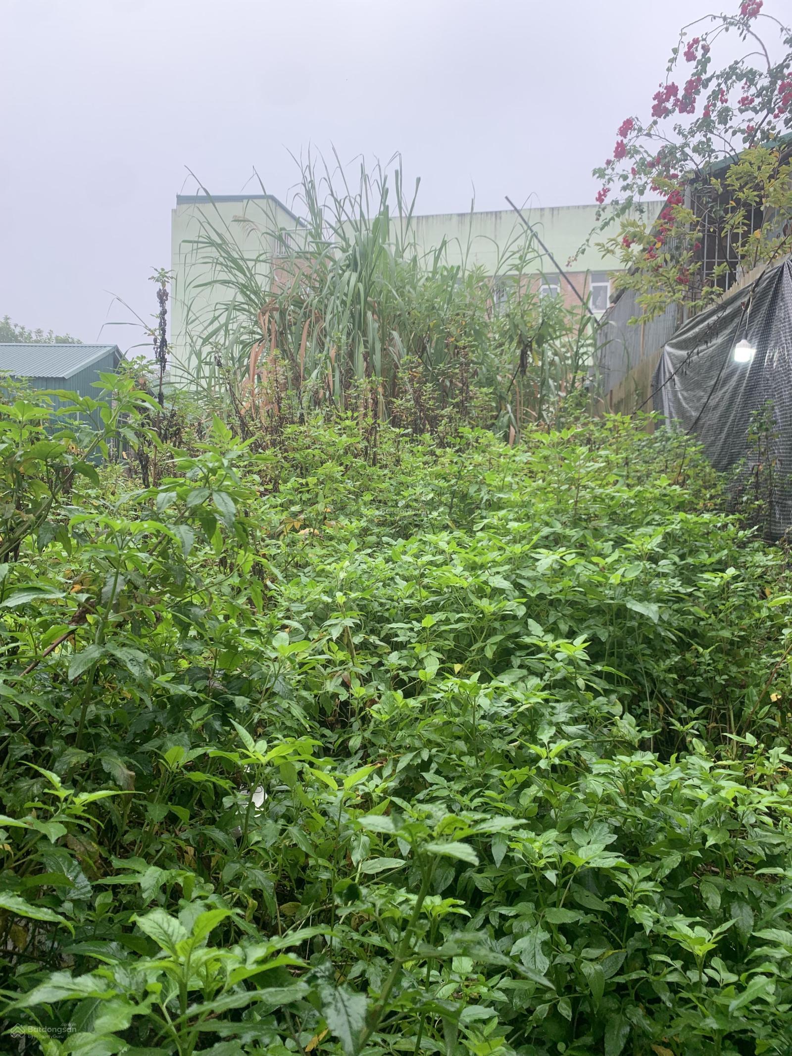 Chính chủ cần bán đất Liên Mạc 41m2 ngõ nông giá nhỉnh 5 tỷ hàng sót lại