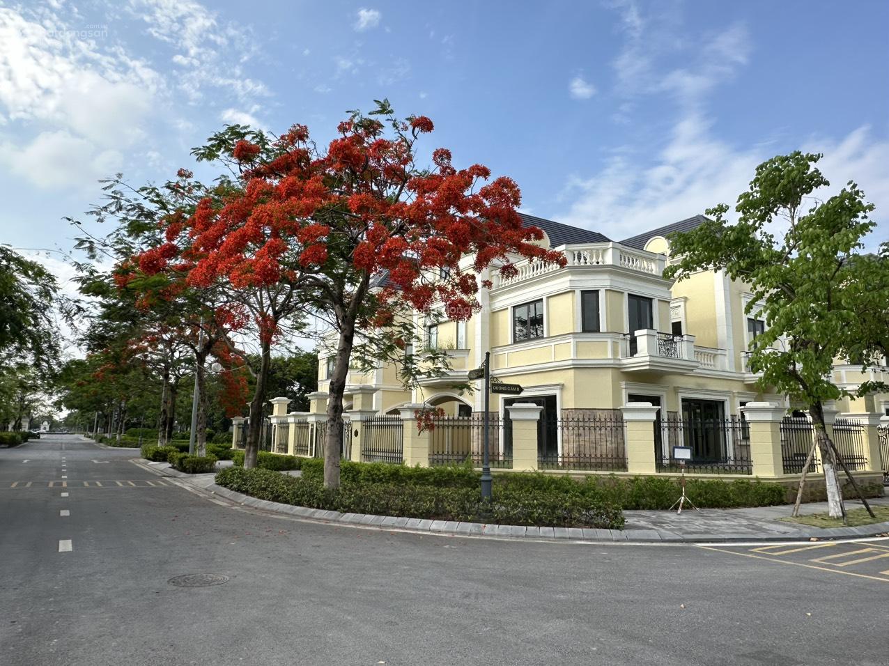 Chính chủ tôi bán lô GÓC mặt chung cư 142m2 xây gần full 35 tỷ, đường rộng(Có hầm âm cực chất)-VVIP