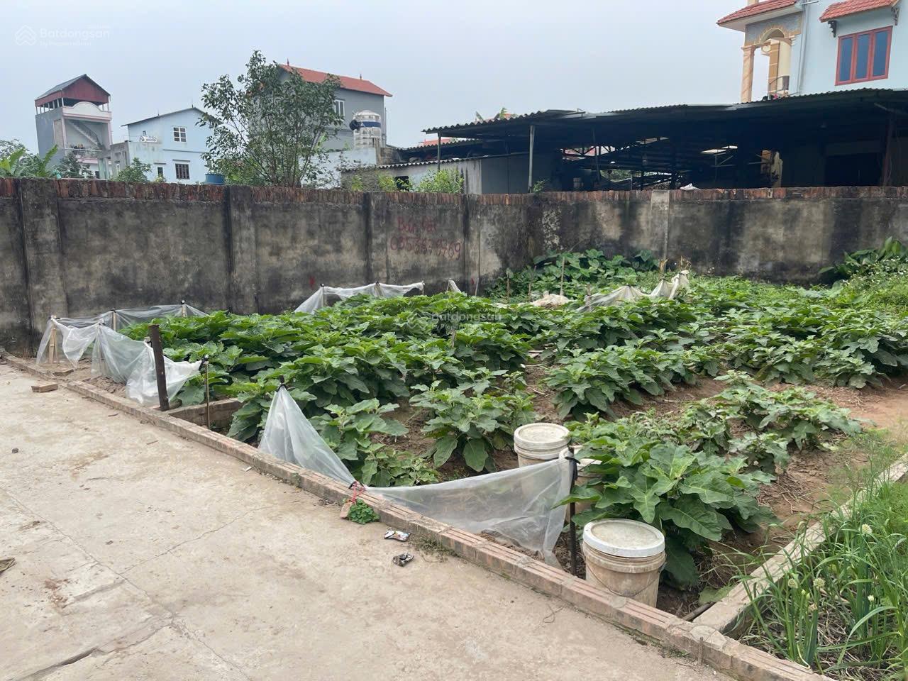 Bán đất 64m2 Phú Thị (nay thuộc xã Thuận An), Gia Lâm giá chỉ 4 tỷ