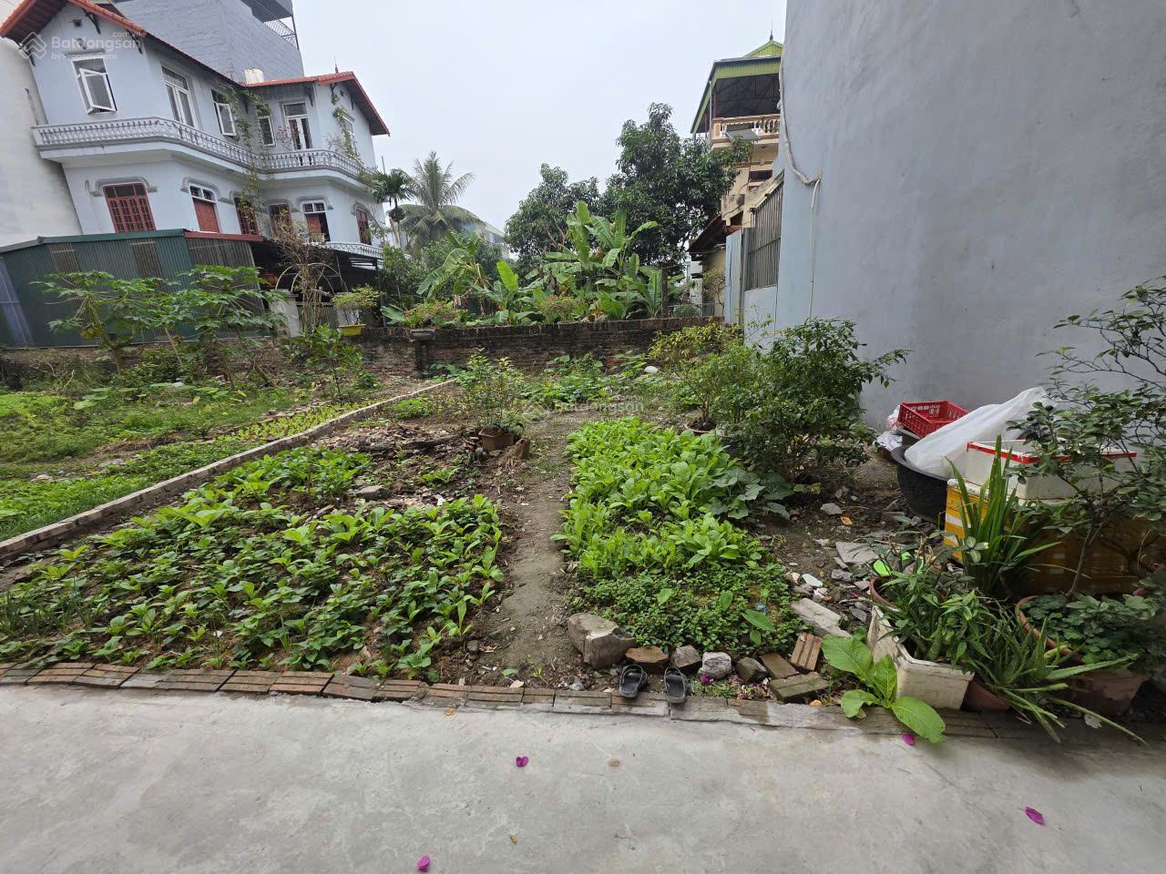 Đất đẹp ở ngay, 72.4m2 pháp lý chuẩn-đường to - thoáng - sát trường QT, Phúc Lợi Long Biên, Hà Nội