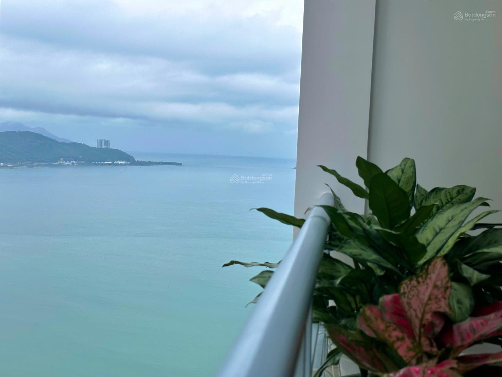 3 tỷ sở hữu căn hộ mới 100%, toà OC1B, 58.8m2. View xéo biển. LH 0931 354 ***