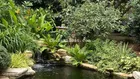 Bán vườn trái cây, trang trại nghỉ dưỡng