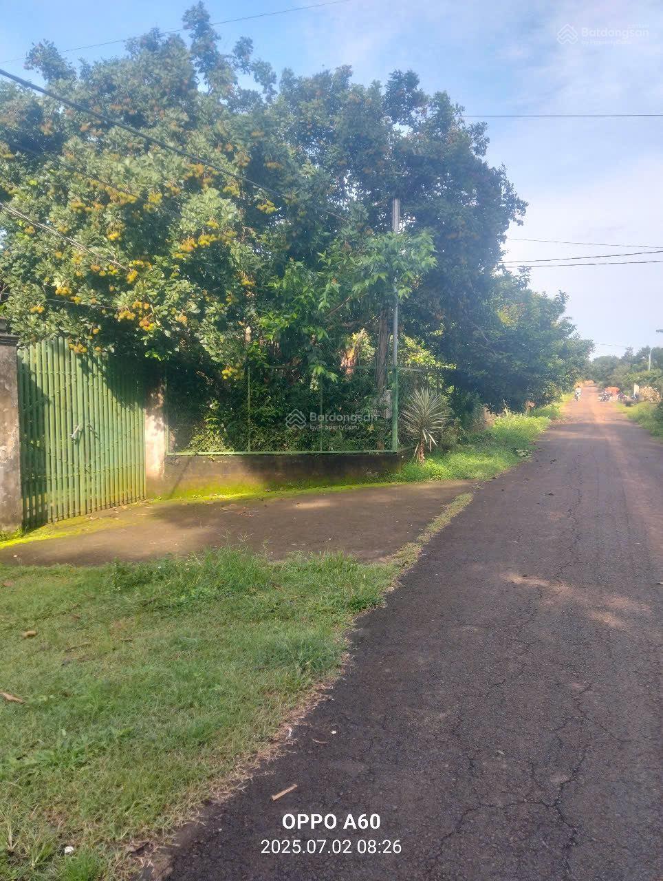 Bán vườn trái cây, trang trại nghỉ dưỡng