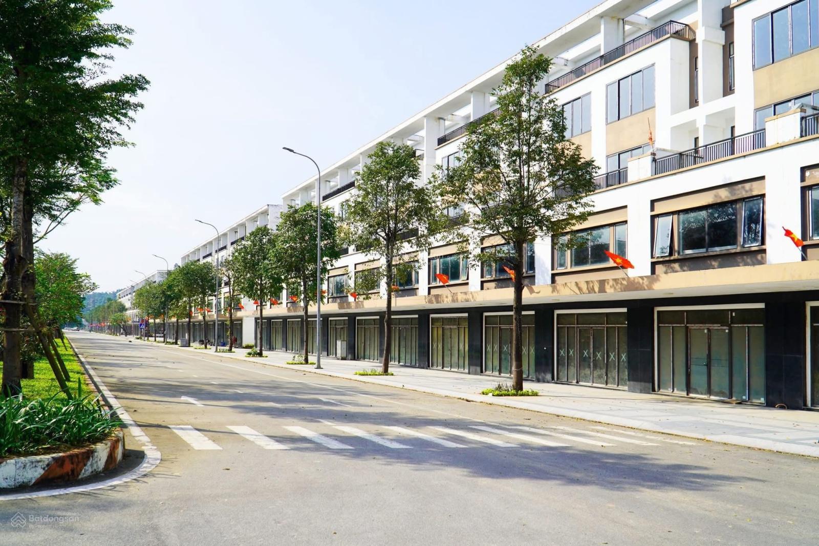 Mở bán đất nền biệt thự Shophouse khu đô thị HUD Phú Mỹ TP. Quảng Ngãi Mở bán đất nền biệt thự Shophouse khu đô thị HUD Phú Mỹ TP. Quảng Ngãi