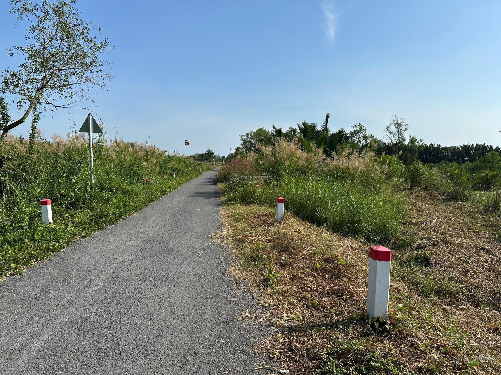 Bán 5.000m2 đất mặt tiền đường Thành Long, xã Phong Phú, huyện Bình Chánh Bán 5.000m2 đất mặt tiền đường Thành Long, xã Phong Phú, huyện Bình Chánh