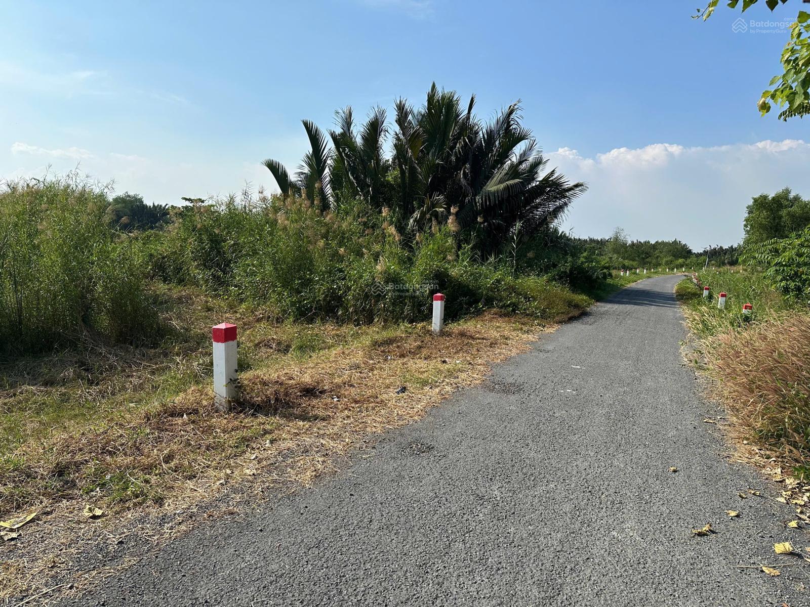 Bán 5.000m2 đất mặt tiền đường Thành Long, xã Phong Phú, huyện Bình Chánh Bán 5.000m2 đất mặt tiền đường Thành Long, xã Phong Phú, huyện Bình Chánh