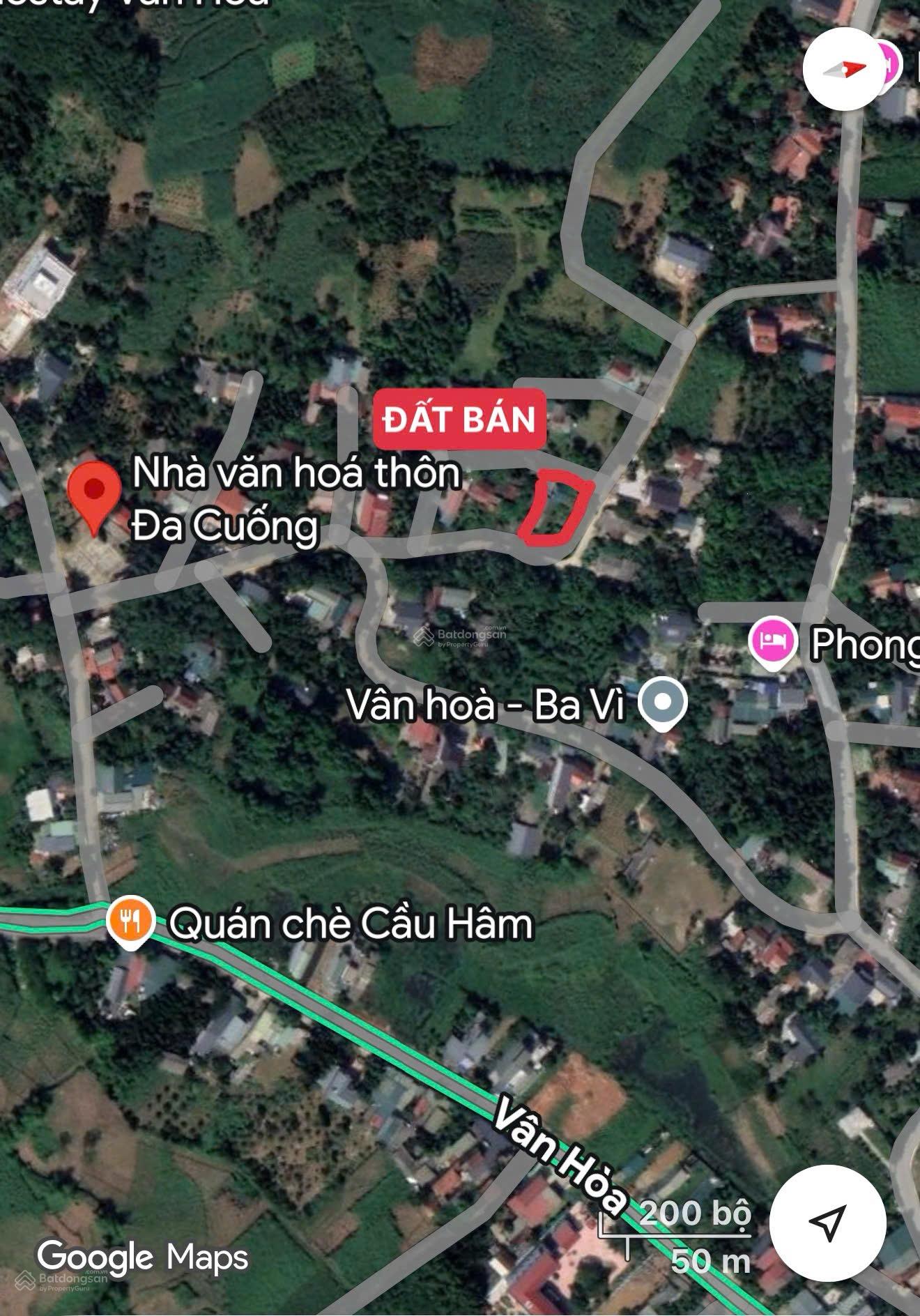 Gia đình cần bán gấp bán đất xã Vân Hoà - Ba Vì. 686m2 - 6,5 tỷ