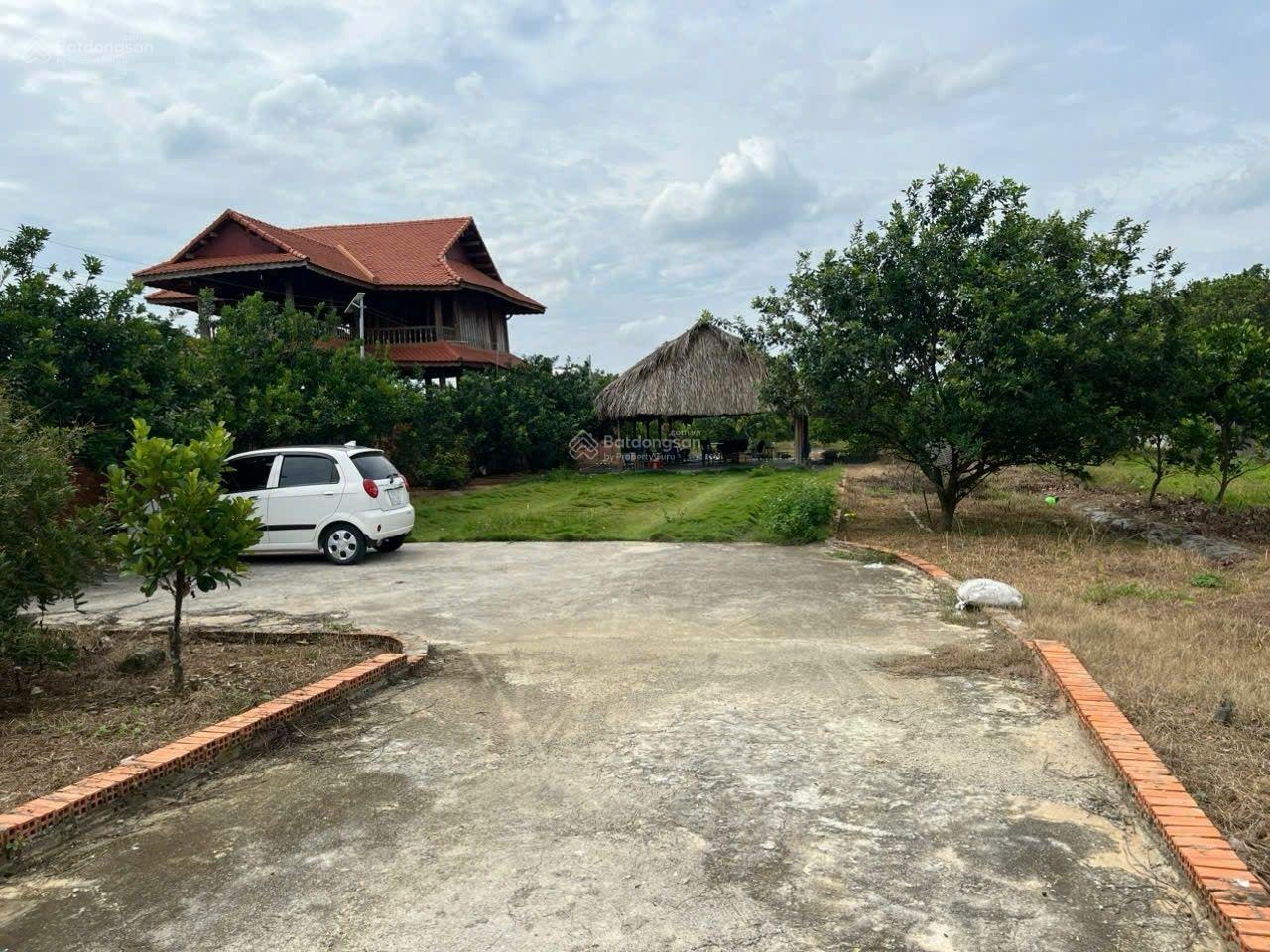 Bán đất khu vườn Bạch Đằng Tân Uyên Bình Dương TPHCM