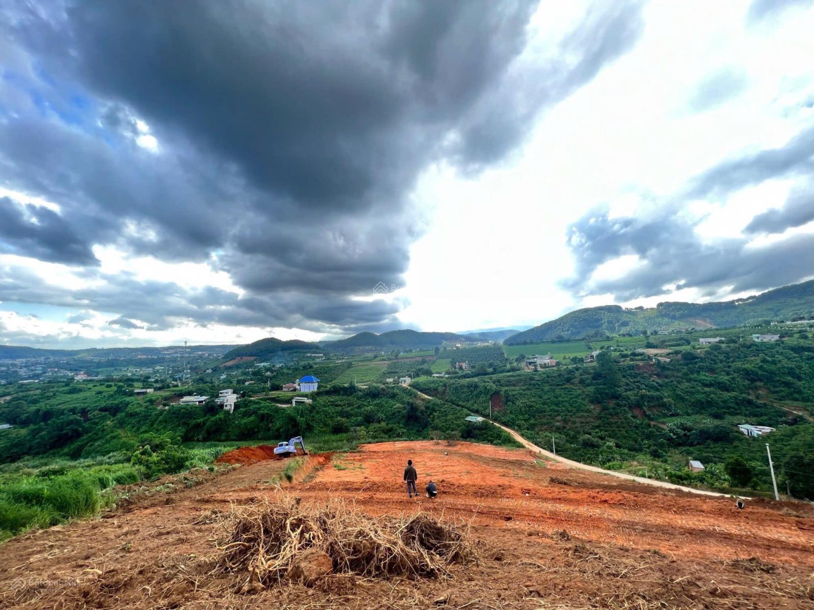 Định cư nước ngoài không kịp về để coi trông đành bán lỗ 89% miếng 1500m2, chỉ 503 tr