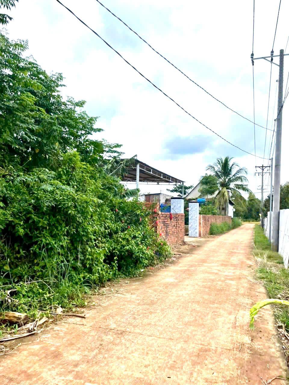 Bán đất thổ cư, đường xe tải chạy, cách nhựa Xuân Tâm - Trảng Táo chỉ có 200m, đất trồng mít, bơ